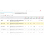 SEO-продвижение сайта (базовый пакет)